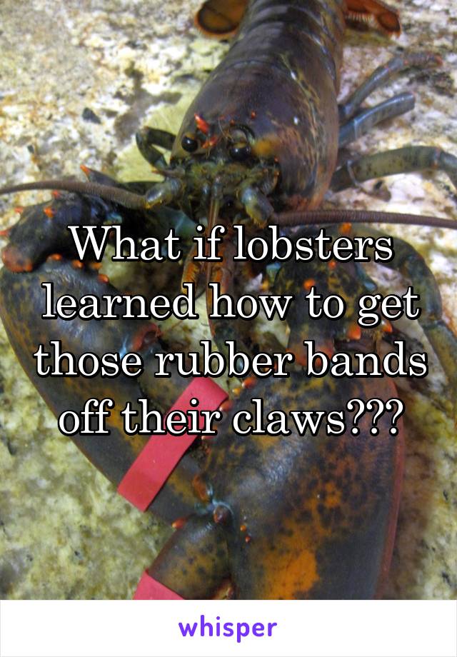 What if lobsters learned how to get those rubber bands off their claws???