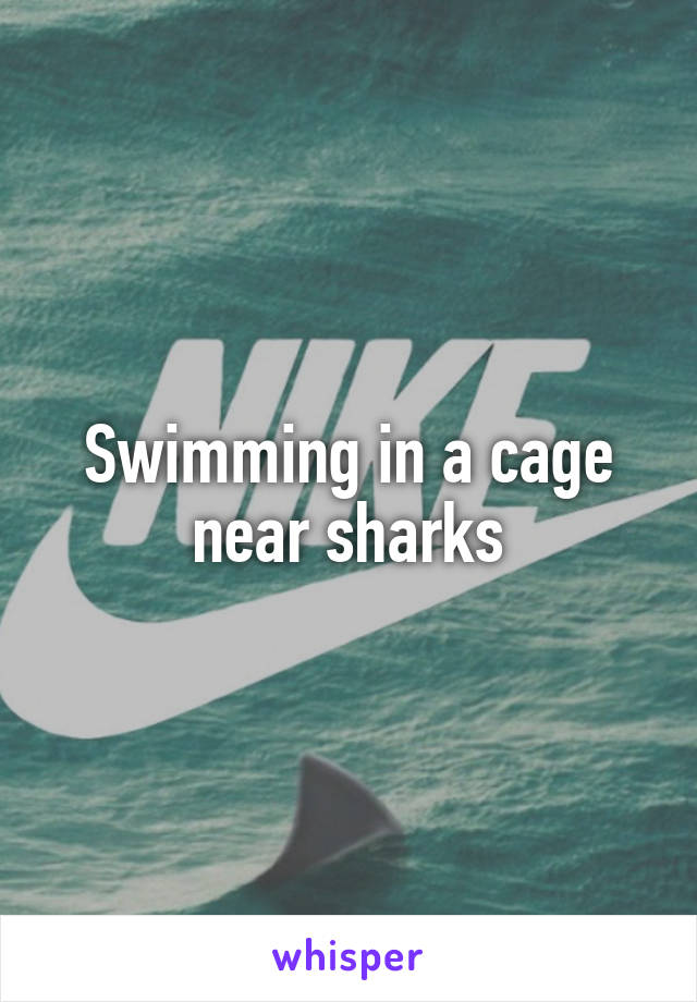 Swimming in a cage near sharks