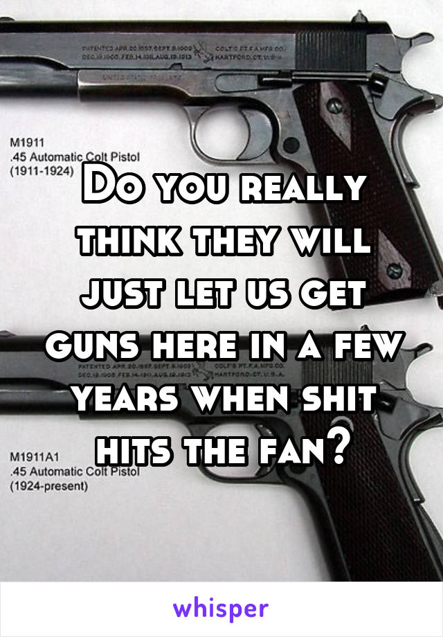 Do you really think they will just let us get guns here in a few years when shit hits the fan?