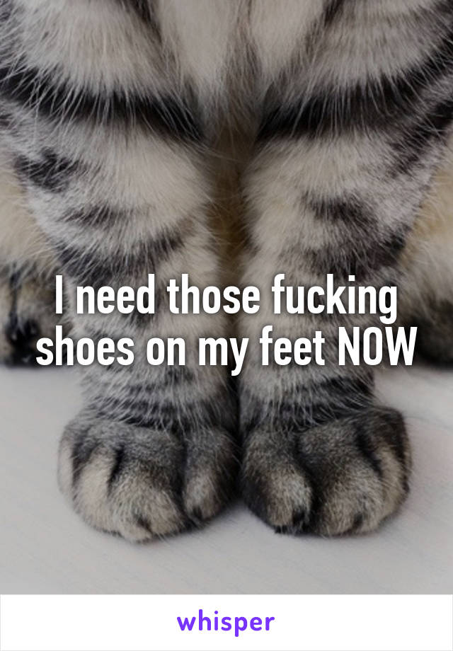 I need those fucking shoes on my feet NOW