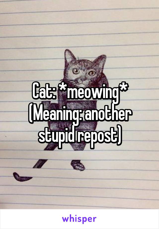 Cat: *meowing*
(Meaning: another stupid repost)