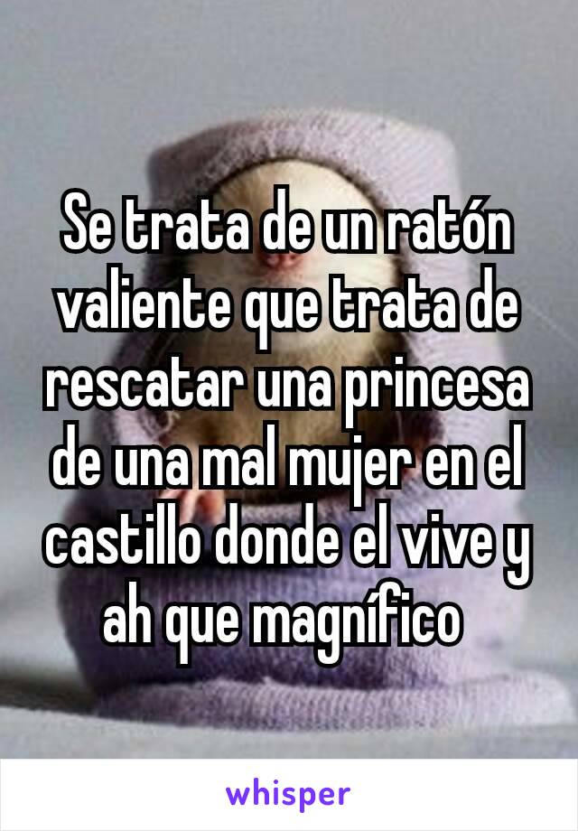 Se trata de un ratón valiente que trata de rescatar una princesa de una mal mujer en el castillo donde el vive y ah que magnífico 