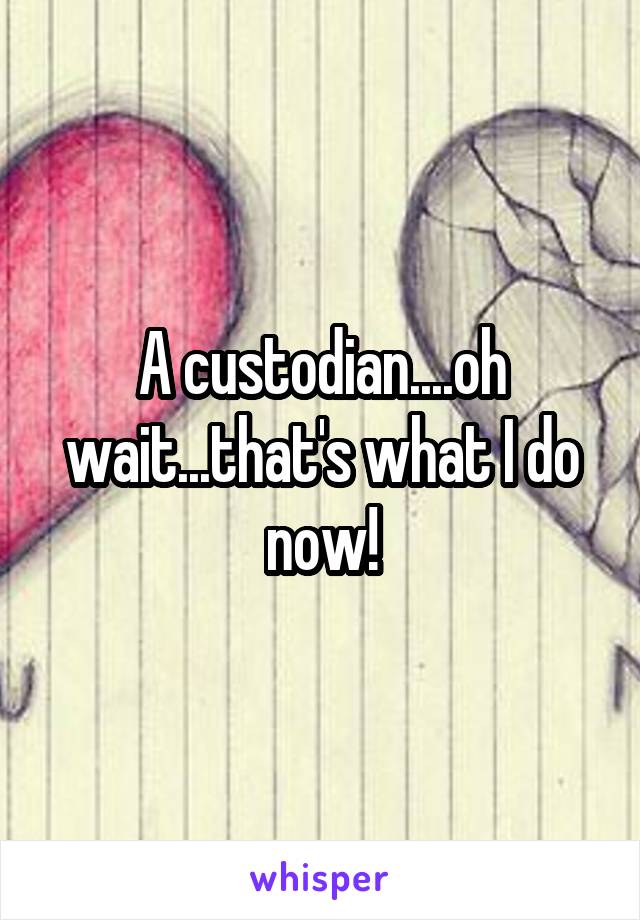 A custodian....oh wait...that's what I do now!