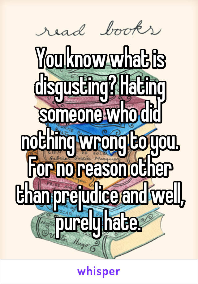 You know what is disgusting? Hating someone who did nothing wrong to you. For no reason other than prejudice and well, purely hate. 
