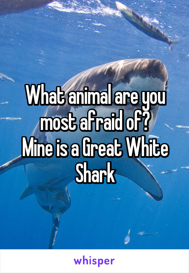 What animal are you most afraid of?
Mine is a Great White Shark