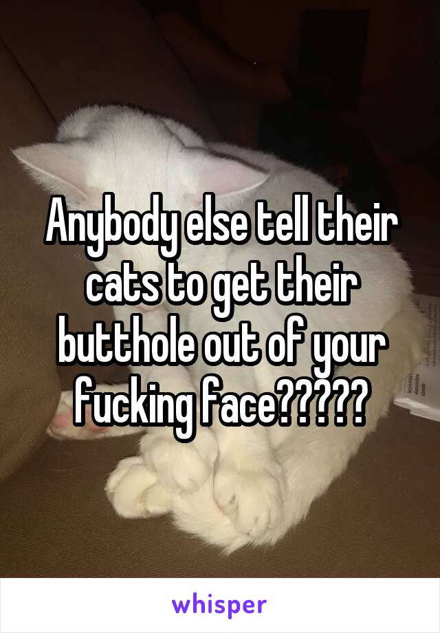 Anybody else tell their cats to get their butthole out of your fucking face?????