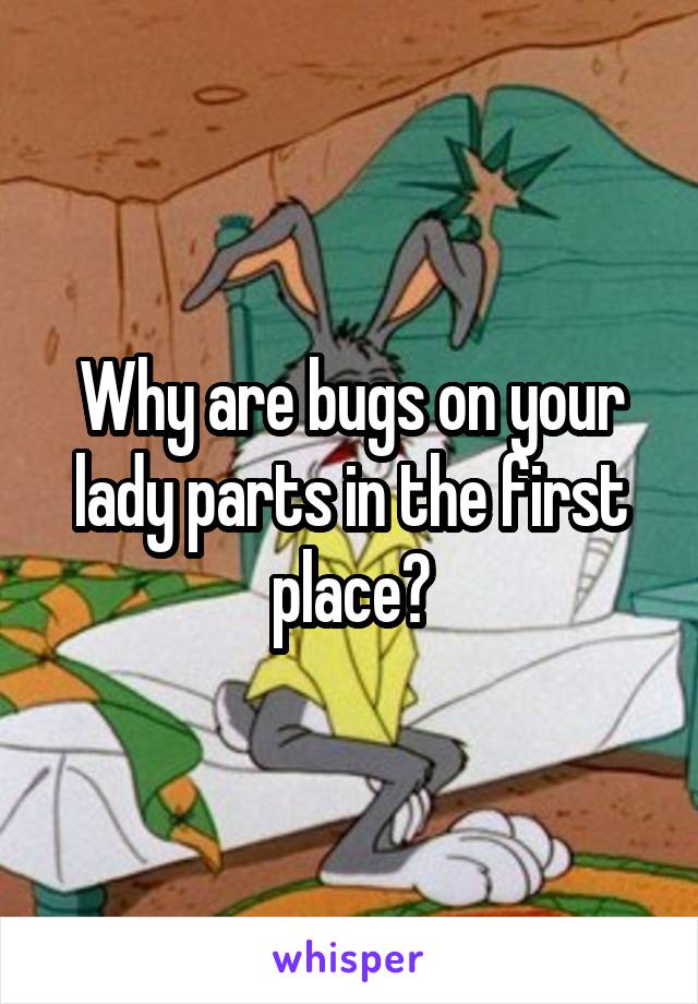 Why are bugs on your lady parts in the first place?