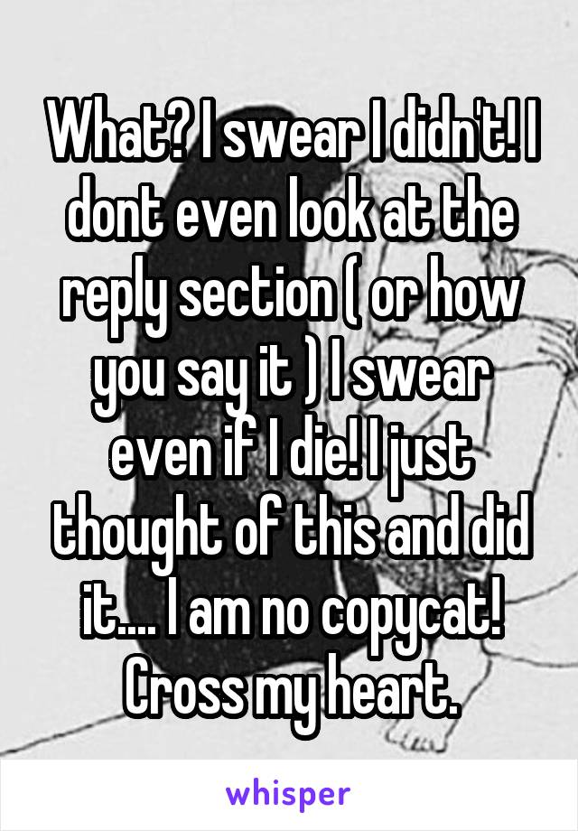 What? I swear I didn't! I dont even look at the reply section ( or how you say it ) I swear even if I die! I just thought of this and did it.... I am no copycat! Cross my heart.