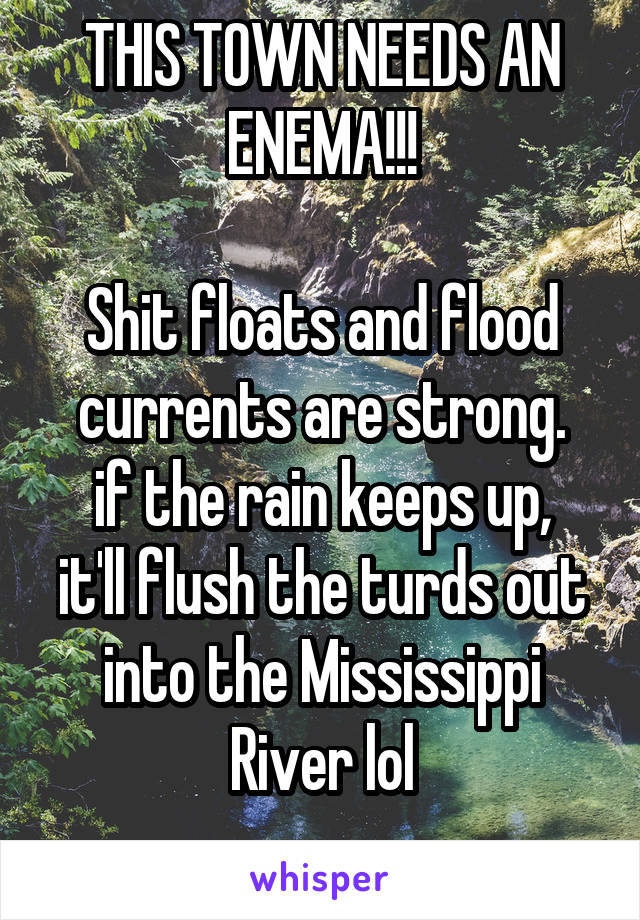 THIS TOWN NEEDS AN ENEMA!!!

Shit floats and flood currents are strong.
if the rain keeps up, it'll flush the turds out into the Mississippi River lol
