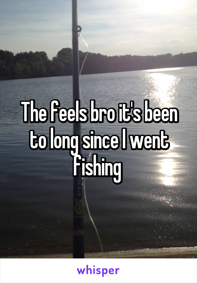 The feels bro it's been to long since I went fishing 