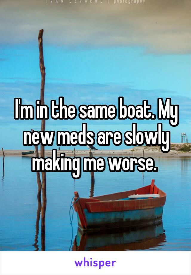 I'm in the same boat. My new meds are slowly making me worse. 