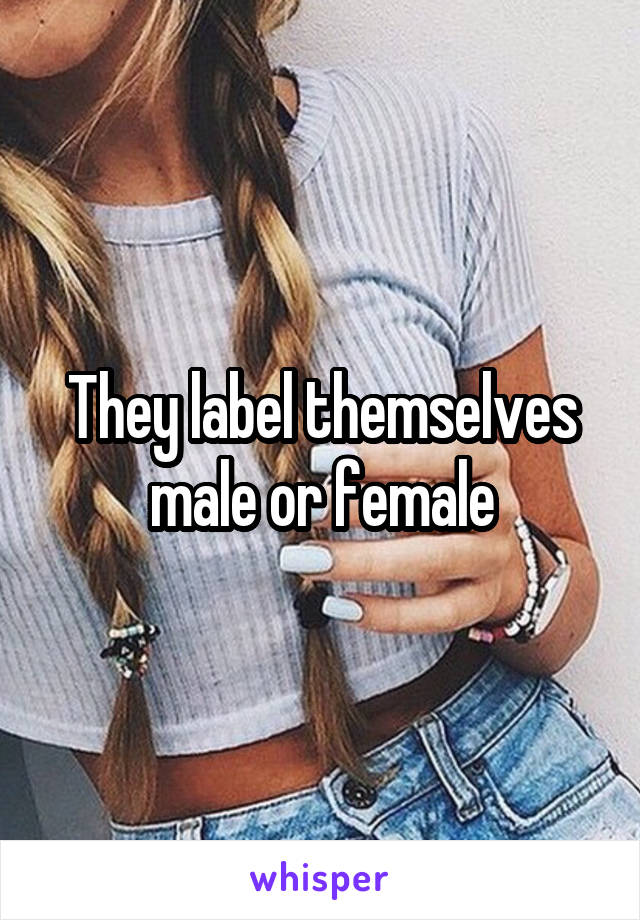 They label themselves male or female