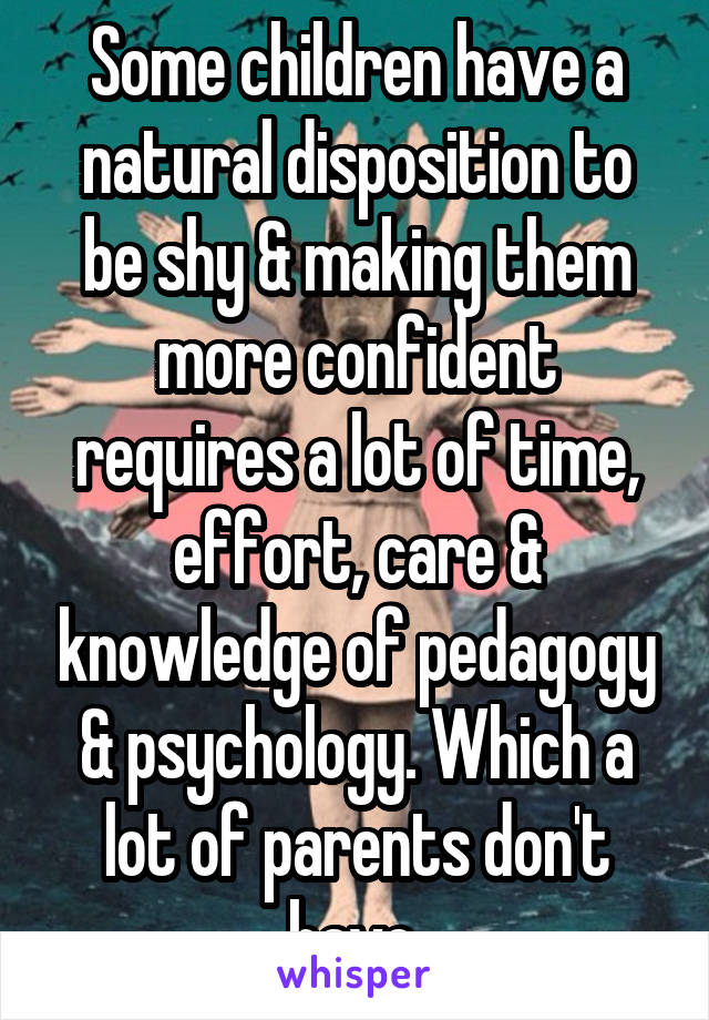 Some children have a natural disposition to be shy & making them more confident requires a lot of time, effort, care & knowledge of pedagogy & psychology. Which a lot of parents don't have.