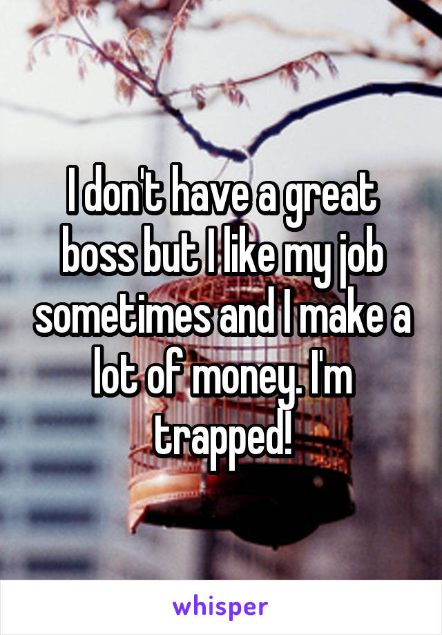 I don't have a great boss but I like my job sometimes and I make a lot of money. I'm trapped!