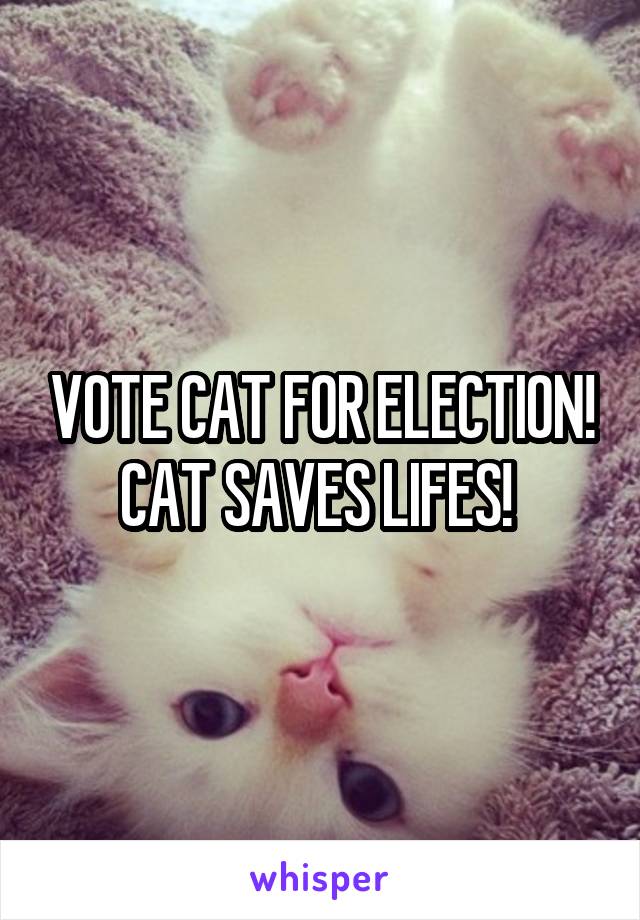 VOTE CAT FOR ELECTION! CAT SAVES LIFES! 
