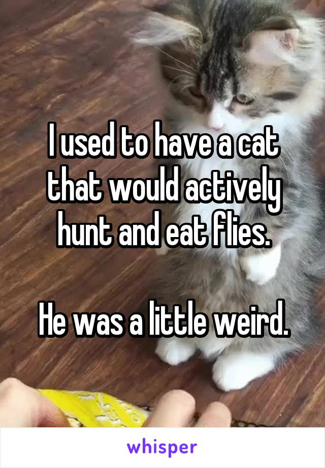 I used to have a cat that would actively hunt and eat flies.

He was a little weird.