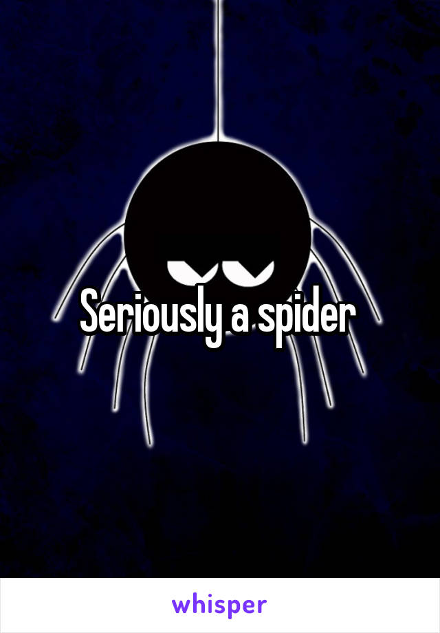 Seriously a spider 