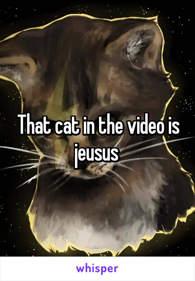 That cat in the video is jeusus 