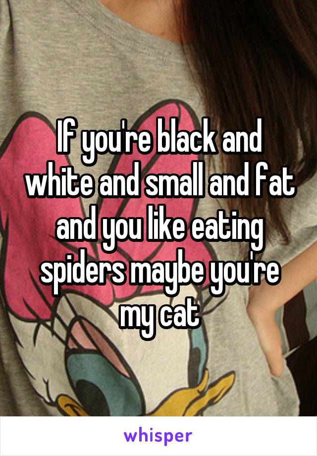 If you're black and white and small and fat and you like eating spiders maybe you're my cat
