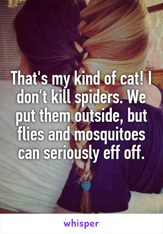 That's my kind of cat! I don't kill spiders. We put them outside, but flies and mosquitoes can seriously eff off.