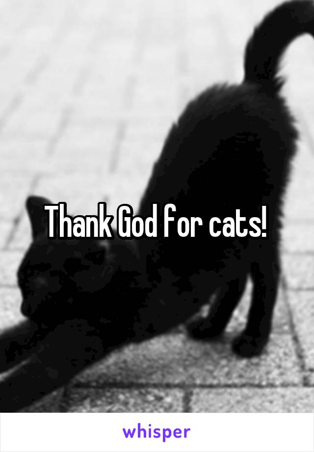 Thank God for cats! 