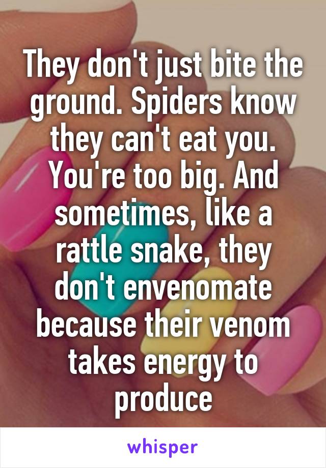 They don't just bite the ground. Spiders know they can't eat you. You're too big. And sometimes, like a rattle snake, they don't envenomate because their venom takes energy to produce