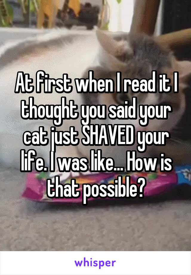 At first when I read it I thought you said your cat just SHAVED your life. I was like... How is that possible?
