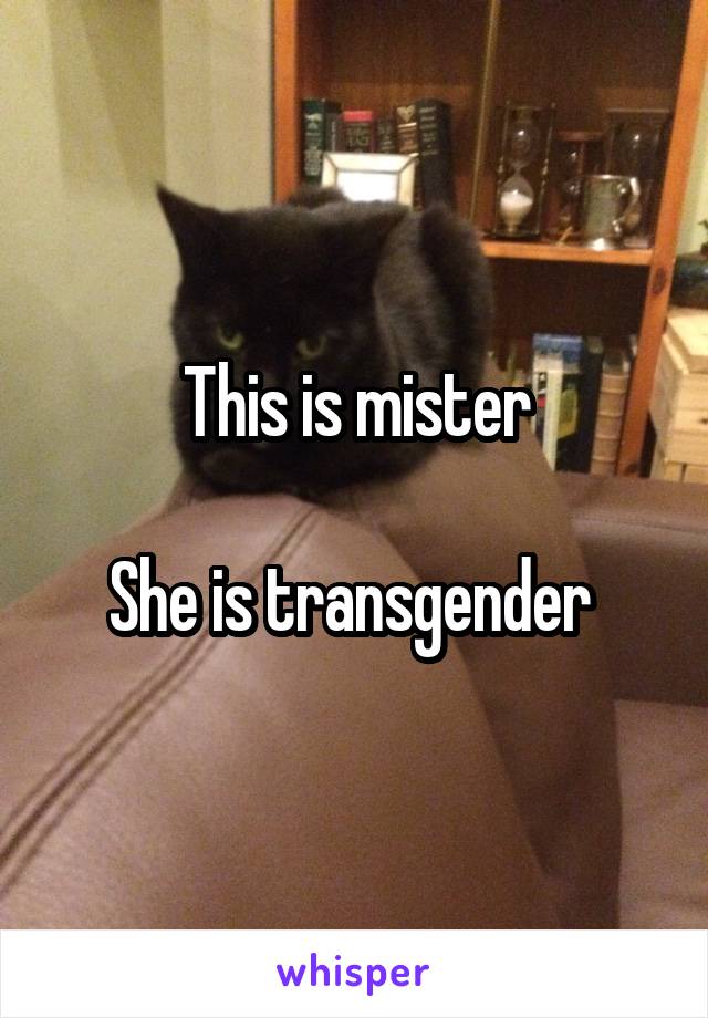 This is mister

She is transgender 