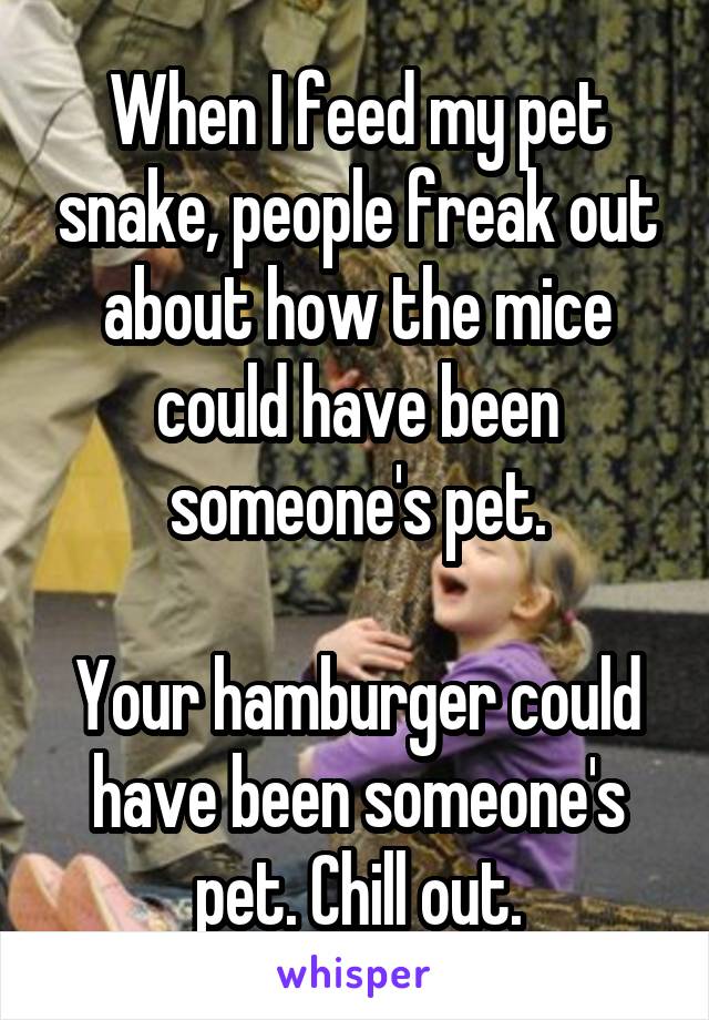 When I feed my pet snake, people freak out about how the mice could have been someone's pet.

Your hamburger could have been someone's pet. Chill out.
