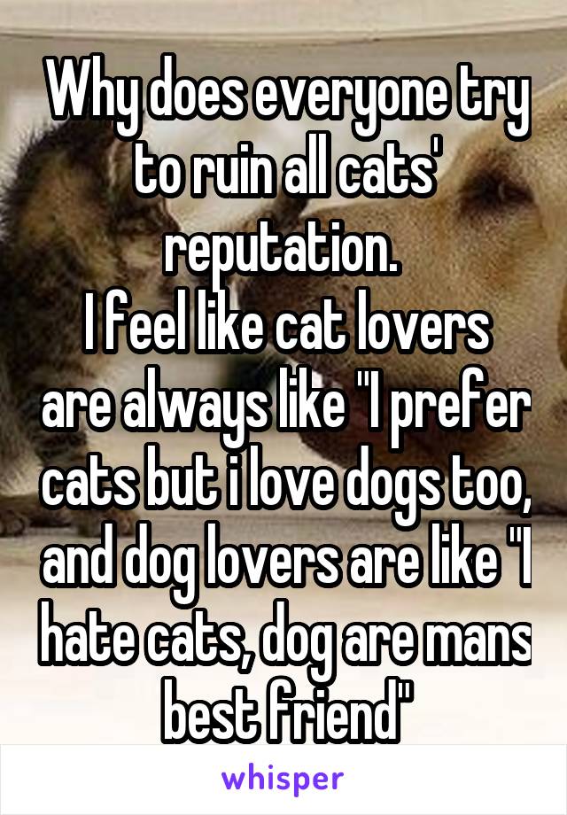 Why does everyone try to ruin all cats' reputation. 
I feel like cat lovers are always like "I prefer cats but i love dogs too, and dog lovers are like "I hate cats, dog are mans best friend"