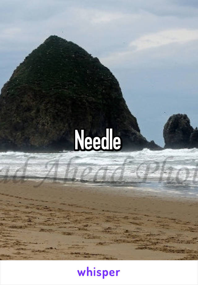 Needle 