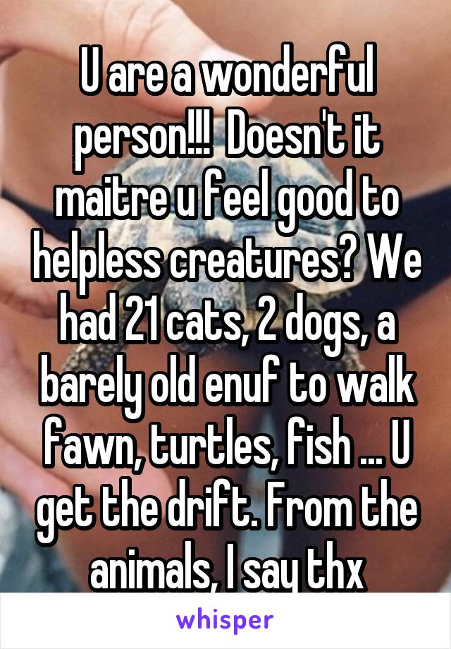 U are a wonderful person!!!  Doesn't it maitre u feel good to helpless creatures? We had 21 cats, 2 dogs, a barely old enuf to walk fawn, turtles, fish ... U get the drift. From the animals, I say thx