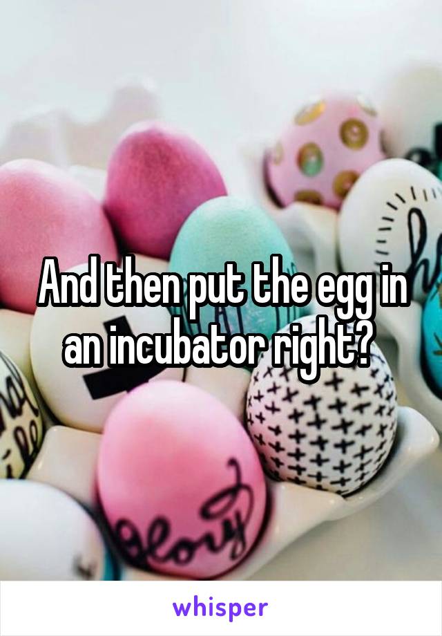 And then put the egg in an incubator right? 