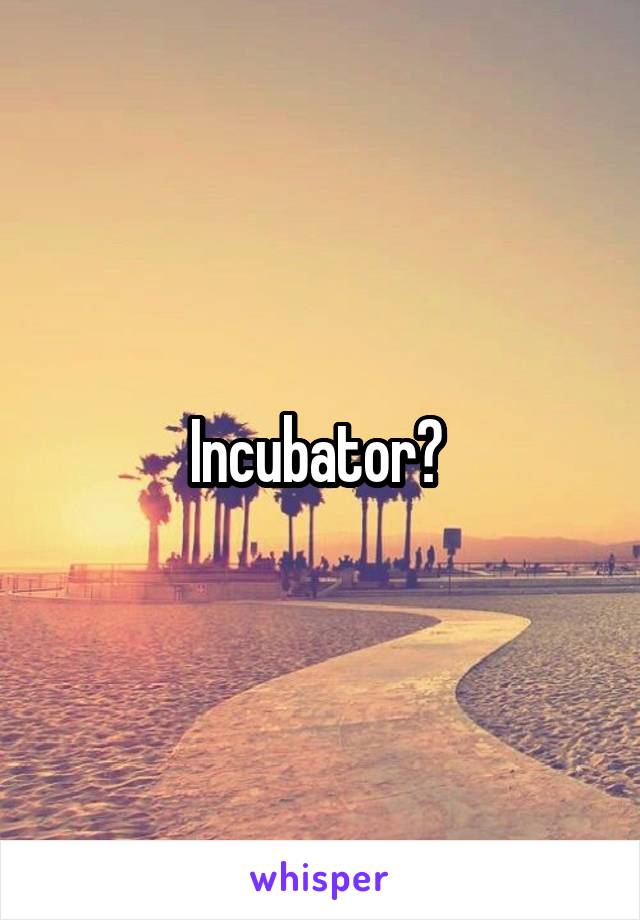 Incubator? 