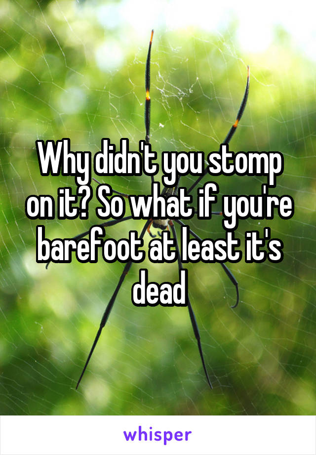 Why didn't you stomp on it? So what if you're barefoot at least it's dead