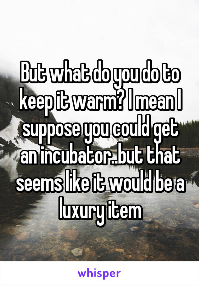 But what do you do to keep it warm? I mean I suppose you could get an incubator..but that seems like it would be a luxury item
