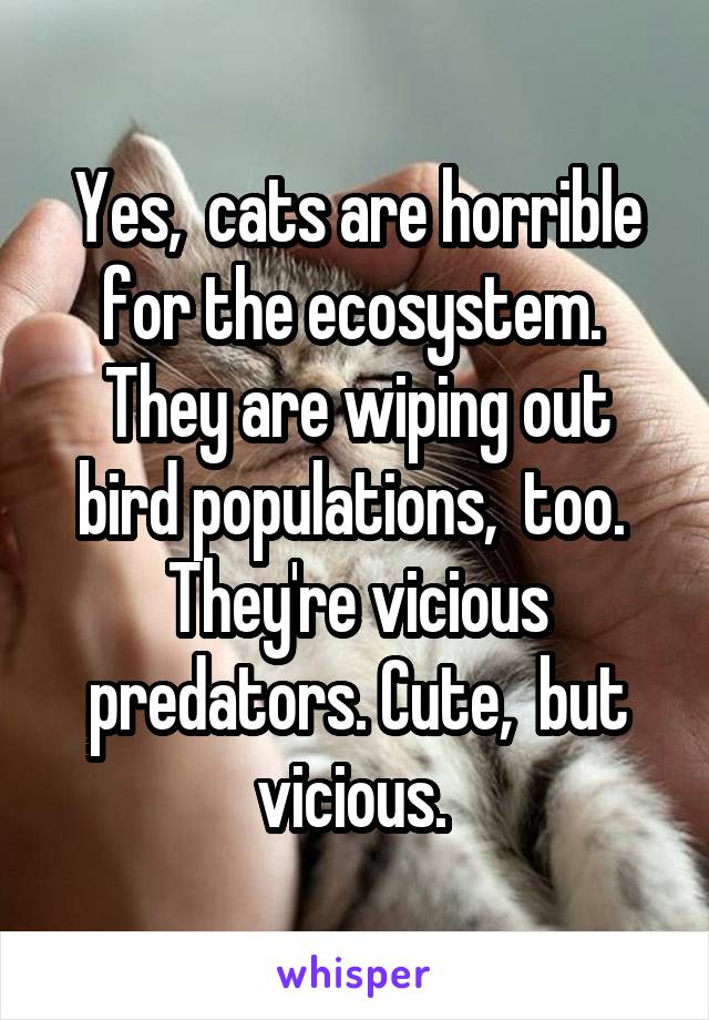 Yes,  cats are horrible for the ecosystem.  They are wiping out bird populations,  too.  They're vicious predators. Cute,  but vicious. 
