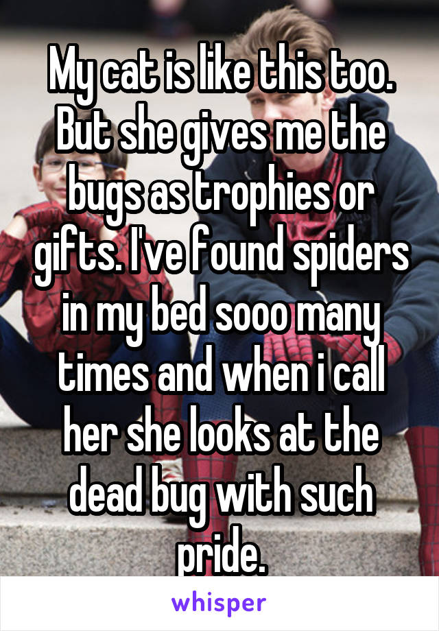 My cat is like this too.
But she gives me the bugs as trophies or gifts. I've found spiders in my bed sooo many times and when i call her she looks at the dead bug with such pride.