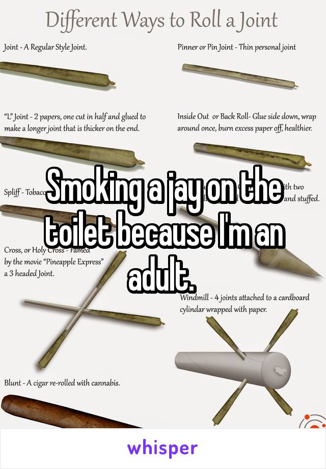 Smoking a jay on the toilet because I'm an adult. 