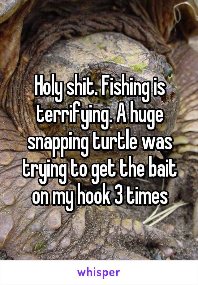 Holy shit. Fishing is terrifying. A huge snapping turtle was trying to get the bait on my hook 3 times