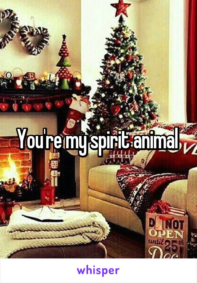 You're my spirit animal 