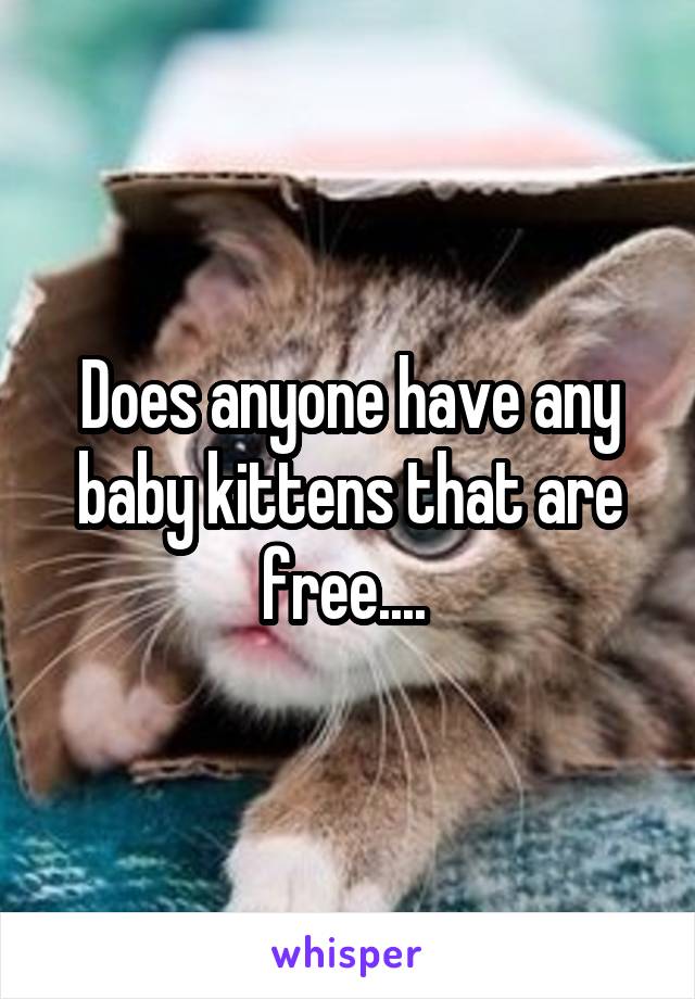 Does anyone have any baby kittens that are free.... 