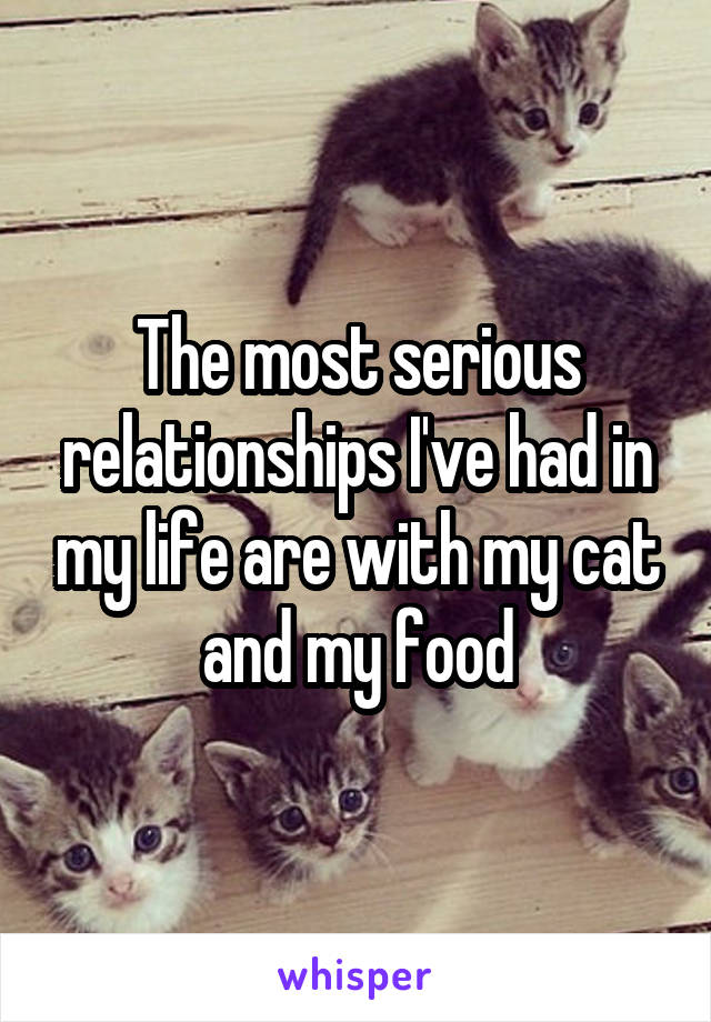 The most serious relationships I've had in my life are with my cat and my food