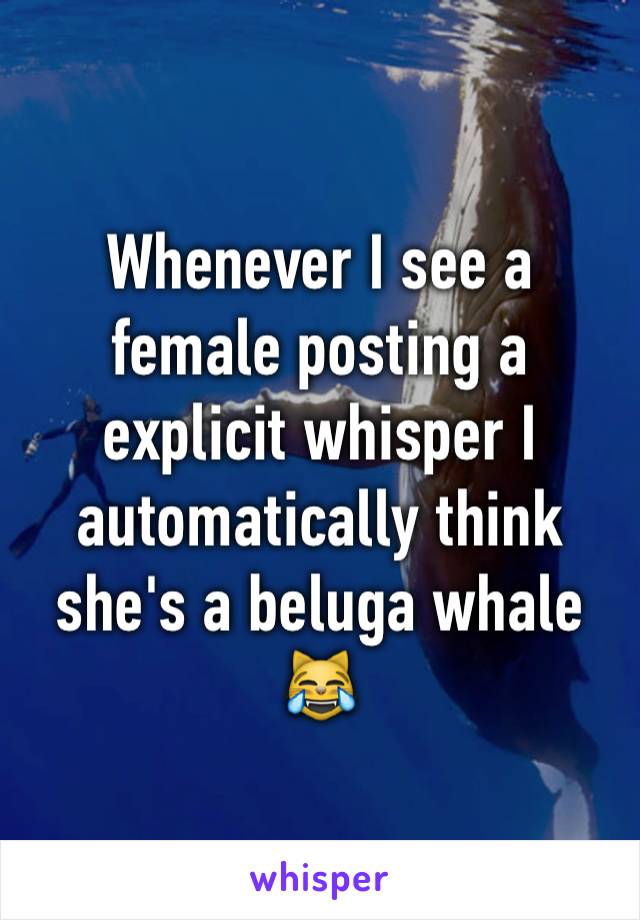 Whenever I see a female posting a explicit whisper I automatically think she's a beluga whale 😹