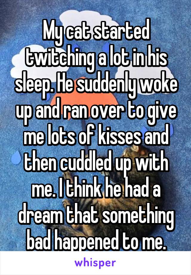 My cat started twitching a lot in his sleep. He suddenly woke up and ran over to give me lots of kisses and then cuddled up with me. I think he had a dream that something bad happened to me.