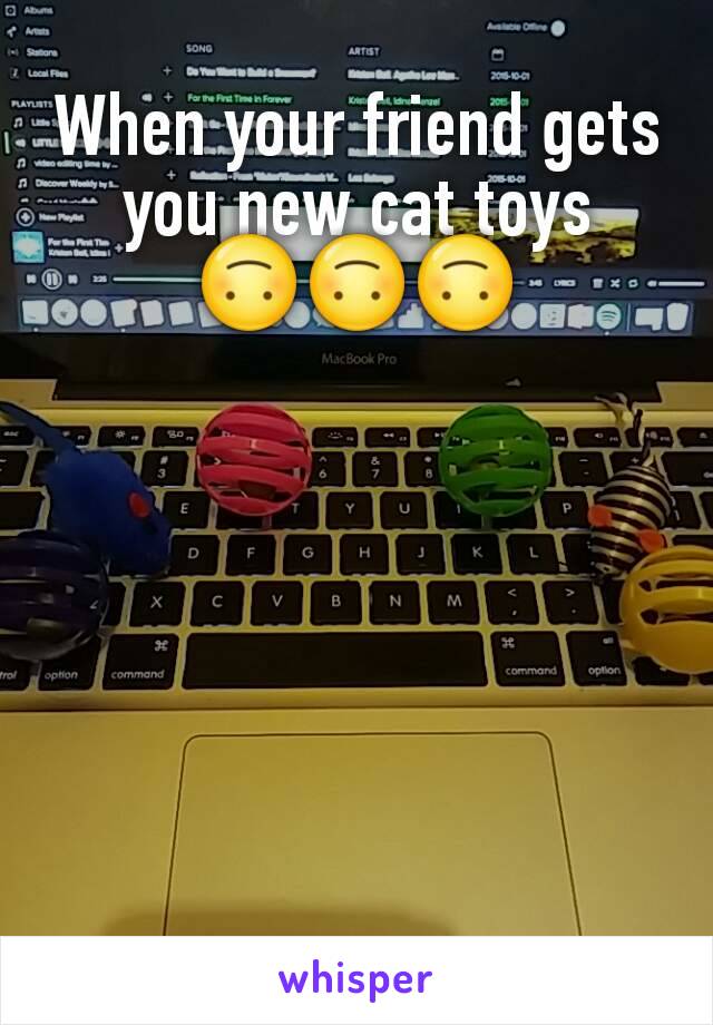 When your friend gets you new cat toys 🙃🙃🙃