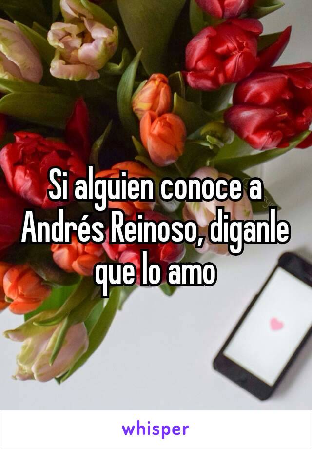 Si alguien conoce a Andrés Reinoso, diganle que lo amo