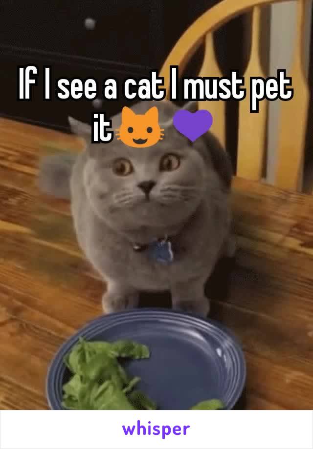 If I see a cat I must pet it😺💜