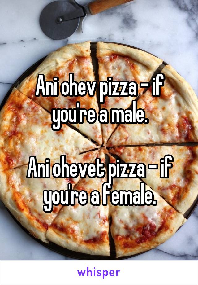 Ani ohev pizza - if you're a male.

Ani ohevet pizza - if you're a female.