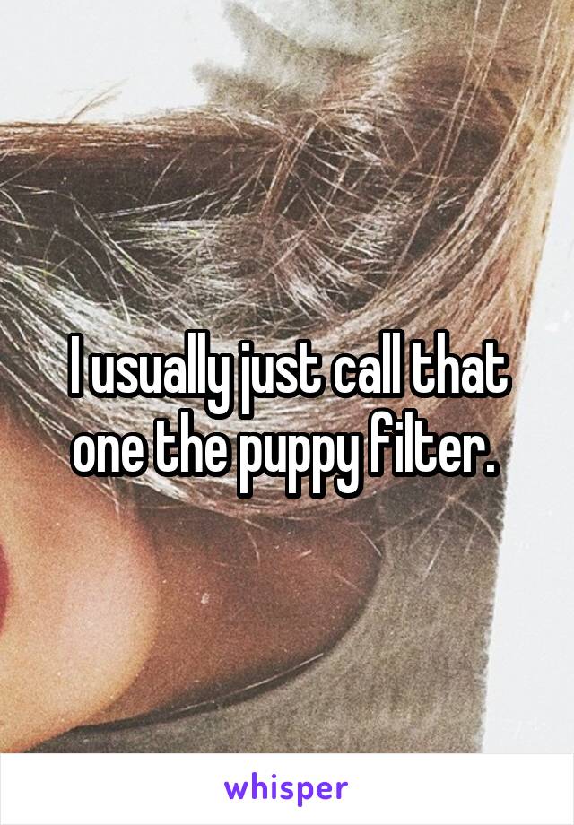 I usually just call that one the puppy filter. 